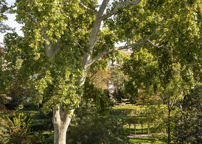 De Suede Saint Germain Hotel 4*